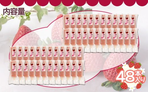 北海道 豊浦町 いちご アイス バー 48本 TYUN023