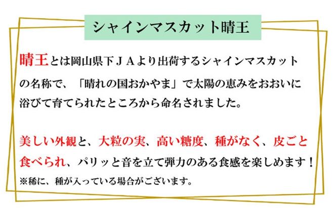 ぶどう 2026年 先行予約 シャイン マスカット 晴王 約500g×2房 種無し ブドウ 葡萄  岡山県産 国産 フルーツ 果物 ギフト