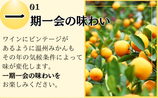 きみの蜜柑ジュース 180mL×6本 / 果汁 ジュース みかんジュース オレンジジュース ドリンク ミカン セット 有機 無添加 100% 【kmf005】