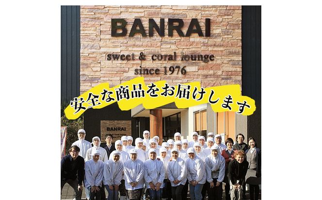 ＜入金確認後、2週間以内に発送！＞スティックタイプの大学芋♪薩摩おいも棒セット 計2.25kg(250g×9袋) a2-077-2w
