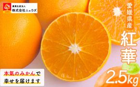 【先行予約】紅華（生果）約2.5kg（2026年12月上旬より順次発送） IKTF014