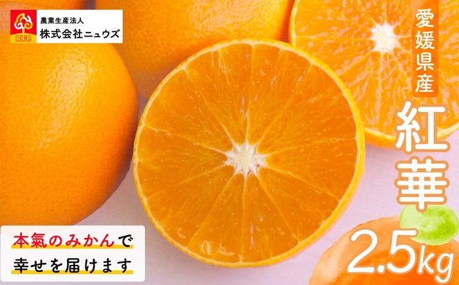 【先行予約】紅華（生果）約2.5kg（2026年12月上旬より順次発送） IKTF014