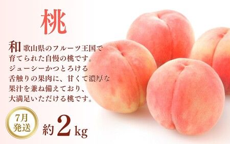 【3か月定期便】和歌山産フルーツ定期便！人気の桃・梨・ピオーネ　旬のフルーツを毎月お届け♪【tkb114】