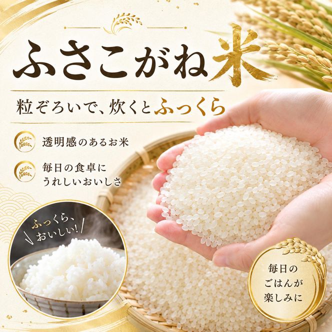 【新米】米 ふさこがね 5kg まなびファーム 令和8年産  白米 精米 ブランド米 産地直送 新米 九十九里町