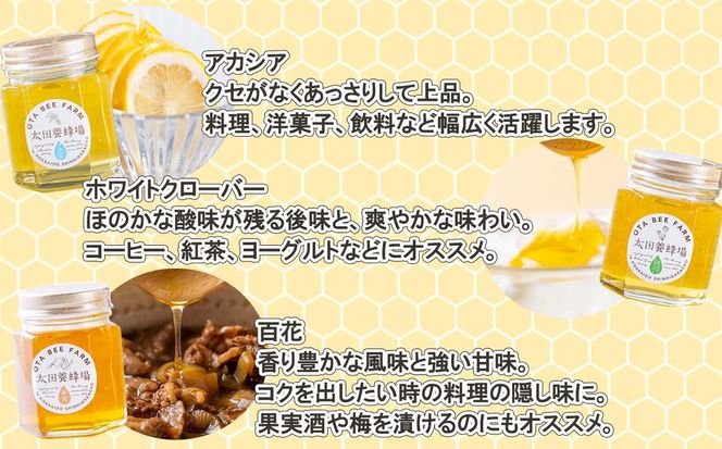 北海道産 はちみつ 3種 計 390g 各130g 新ひだか町 推奨品 セット A