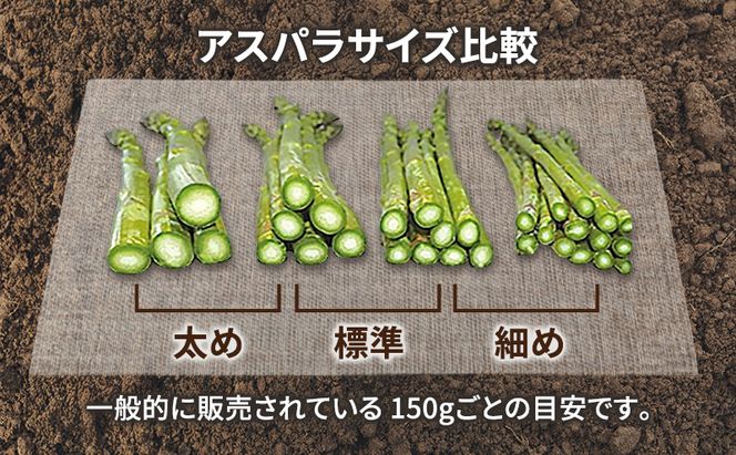 【2026年春発送】富良野産 アスパラ 約1kg 標準 (M～Lサイズ混合)中山農園 アスパラガス 野菜