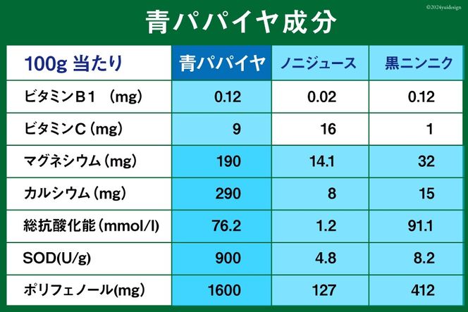 AI132 パパイヤ茶 ティーパック 2g×16包 [ ティーバッグ 茶 お茶 健康 美容 酵素 抗酸化 コウセイプランニング 長崎県 島原市 ]