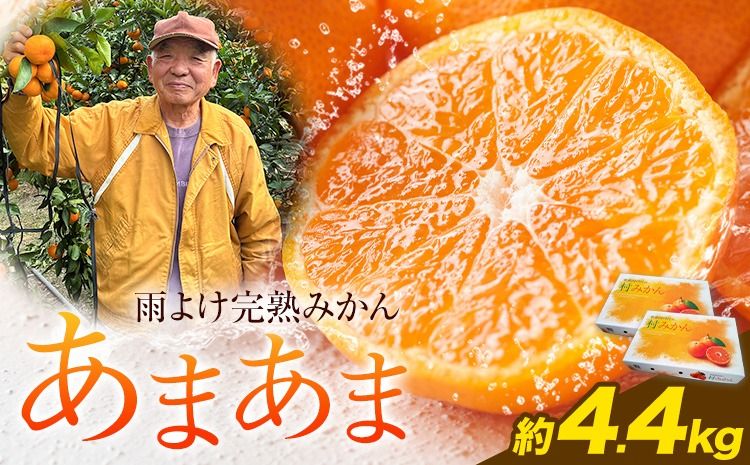 [CF]雨よけ完熟みかん「あまあま」 約4.4kg 正木久之[12月下旬-1月中旬]徳島県 佐那河内村 みかん ミカン 蜜柑 柑橘 箱入り 化粧箱 フルーツ 果物 くだもの 贈答[配送不可地域あり]※離島不可---sanagouchi_mhy_2_2hk---