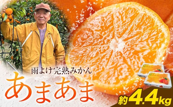 【CF】雨よけ完熟みかん「あまあま」 約4.4kg　正木久之《12月下旬-1月中旬》徳島県 佐那河内村 みかん ミカン 蜜柑 柑橘 箱入り 化粧箱 フルーツ 果物 くだもの 贈答【配送不可地域あり】※離島不可---sanagouchi_mhy_5_2p---