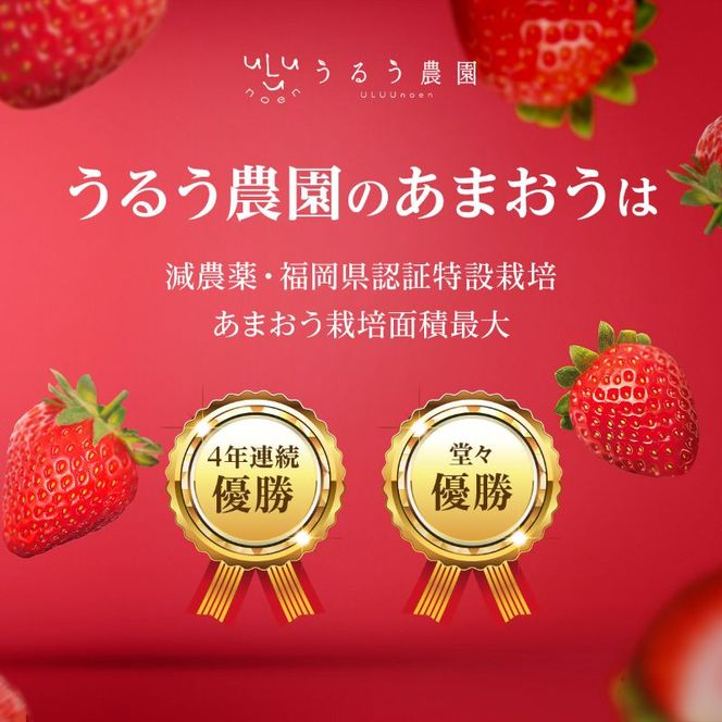 いちご 2026年2月より発送 うるう農園のあまおう大福キット(あまおう1パック＋大福6個セット) 果物 和菓子 生菓子 苺大福 フルーツ 和スイーツ 特別栽培 福岡県産 おやつ ※配送不可：離島