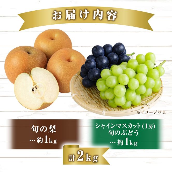 【産直もぎたて】シャインマスカット等と旬の梨セット計2kg（フルーツ 果物 くだもの シャインマスカット ブドウ 先行受付 2025 贈答用 プレゼント 限定）