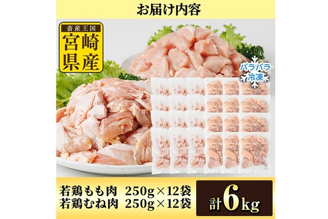 ＜先行予約受付中！2026年4月中に発送予定＞鶏肉 もも・むねセット 小分け 個別凍結(計6kg もも250g×12P むね250g×12P) とり肉 切身 カット済 IQFカット 国産 宮崎県産 冷凍 便利 【NK-18】【株式会社南九フーズ】