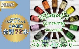 【定期便】楽器シリーズのクラフトビールが毎月１回12本半年間届きます。（計６回）