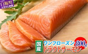 9月5日～寄付額改定 国産ワンフローズントラウトサーモン【800g】