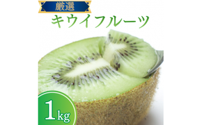 厳選 キウイ0.5kg+250g（傷み補償分）【扁平果】 / 和歌山 フルーツ 果物 くだもの ※2026年11月中旬より2027年4月下旬頃順次発送予定 ※北海道・沖縄・離島配送不可 【ikd700B】