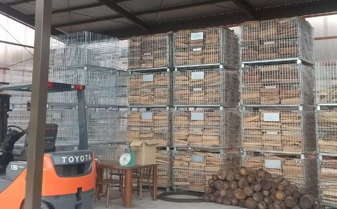 2026年10月上旬より順次出荷　株式会社樹工舎の「薪ぼうず」乾燥薪ミックス 20kg クヌギ・コナラ・アベマキ・サクラ キャンプ  薪 まき 