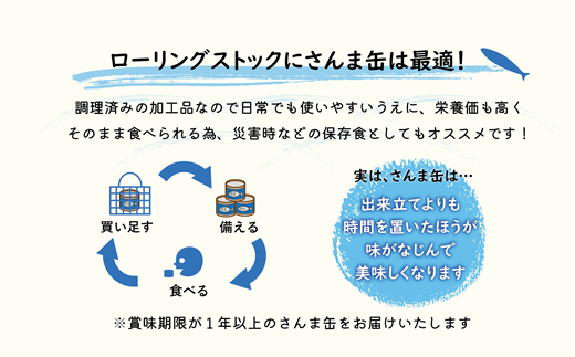 ＜笹谷商店さんま味噌煮10缶セット＞さんま缶  190g 北海道 国産 北海道産 道産 水煮 缶詰 魚介 魚介類 海産物 非常食 常温