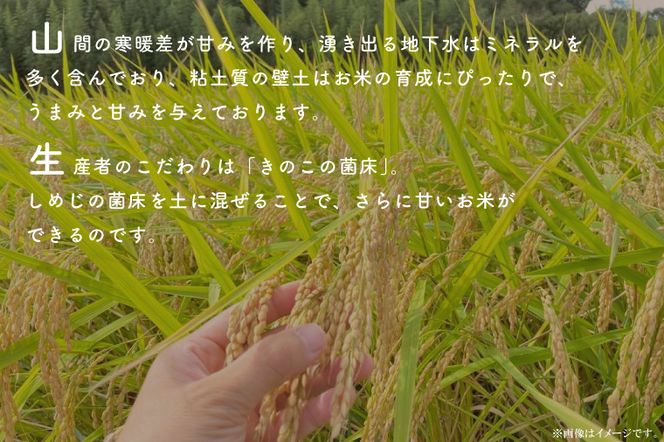 【先行予約】【2026年9月末より順次発送開始】【茨城県共通返礼品/潮来市】【12ヶ月定期便】栽培期間中出来るだけ農薬を減らしたかすみ米 5kg(白米)　茨城県潮来市産(BI-90)
