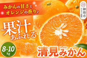 【2027年3月中旬より発送開始】清見(きよみ)みかん 8kg～10kg【みかん オレンジ 柑橘 フルーツ デザート】(H116139)
