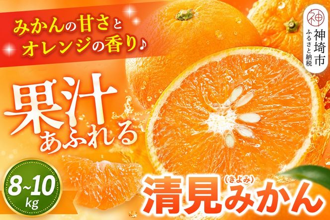 【2027年3月中旬より発送開始】清見(きよみ)みかん 8kg～10kg【みかん オレンジ 柑橘 フルーツ デザート】(H116139)