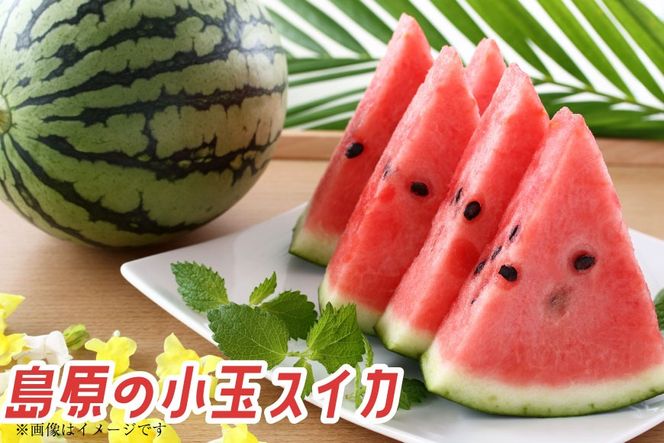 AJ462 【令和8年度出荷分】 Farm honda 小玉スイカ 3～5玉 約10kg [ 先行予約 数量限定 小玉 スイカ 西瓜 フルーツ 果物 長崎 長崎県 島原市 ]