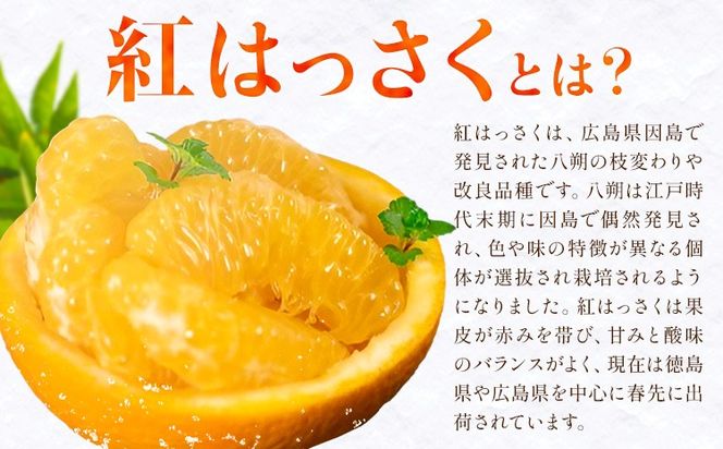 八朔 紅八朔 村のこだわり 紅はっさく 約3kg 山口允張《1月中旬-2月中旬頃出荷》 徳島県 佐那河内村 送料無料 柑橘類 柑橘 果物 フルーツ はっさく べにはっさく お取り寄せフルーツ【配送不可地域あり】※離島不可---sanagouchi_ymh_2_3kg---