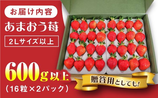 【化粧箱】あまおう いちご 600g以上 糸島市 / 株式会社フルコンス[ALO001]