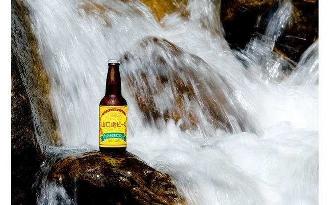 C137 【WBAワールド・ビア・アワード2018世界金賞受賞】山口地ビール6本定期便（4回コース）