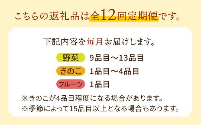 【毎月コース】豪華！野菜 セット 15品目以上 12回 定期便 / 野菜 フルーツ きのこ 詰め合わせ 南島原市 / 吉岡青果 [SCZ019]