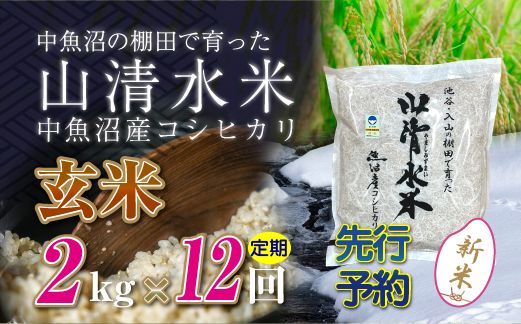 【令和8年産 先行予約】【定期便／全12回】玄米2kg 新潟県魚沼産コシヒカリ「山清水米」