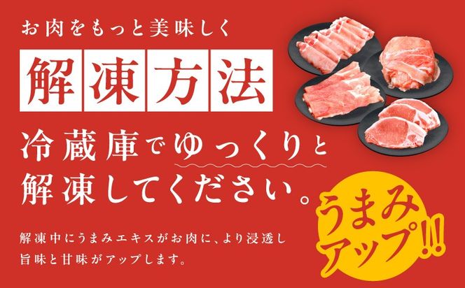 mrz0247 【スピード発送】国産 豚肉 4種 総量 1.2kg【300g×4P 氷温熟成×極味付け 小分け ぶたにく 普段使い 野菜炒め】