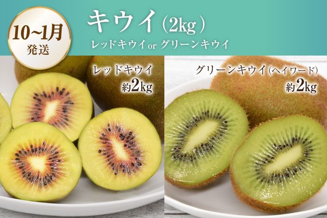 【CF01】CG083 フルーツ 定期便 全4回 厳選！島原の人気フルーツ定期便 [ 旬 果物 詰め合わせ 食べ比べ セット いちご メロン すいか キウイ 長崎県 島原市 ]