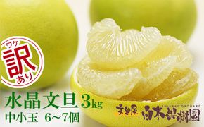 【先行予約】水晶文旦 ご家庭用お得箱 約３kg Lサイズ～２Ｌサイズ （６～７個入り）〈2026年10月上旬～11月上旬頃発送〉訳あり ワケあり 訳 傷 キズ へこみ 文旦 ブンタン ぶんたん 水晶文旦 果物 柑橘 フルーツ 家庭用 ご自宅用【白木果樹園】 [BQAI021]