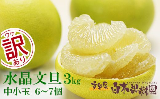 【先行予約】水晶文旦 ご家庭用お得箱 約３kg Lサイズ～２Ｌサイズ （６～７個入り）〈2026年10月上旬～11月上旬頃発送〉訳あり ワケあり 訳 傷 キズ へこみ 文旦 ブンタン ぶんたん 水晶文旦 果物 柑橘 フルーツ 家庭用 ご自宅用【白木果樹園】 [BQAI021]