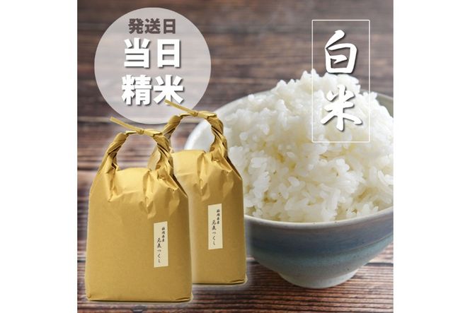 米 令和7年 白米 元気つくし 5kg 2袋 計 10kg [ベネフィス 福岡県 宇美町 um40azp190011] 令和7年産 お米 ご飯 コメ ごはん
