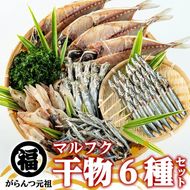 鹿児島県阿久根市産干物セット(6種) 国産 九州産 鹿児島県産 新鮮 鮮度 魚 魚介類 乾物 ひもの おつまみ おかず お弁当 珍味 一夜干し きびなご あじ いか あおさ【マルフク川畑水産】akn029-01