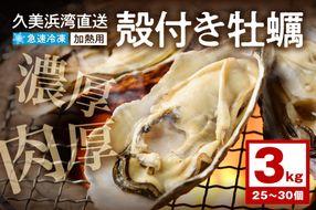 朝採れ、鮮度抜群！濃厚！肉厚！急速冷凍 殻付き牡蠣 約3kg(25～30個)　YK00133