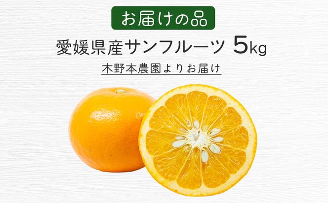 【栽培期間中農薬不使用】【先行受付】【数量限定】農園直送！愛媛県産サンフルーツ 5kg （2026年4月上旬頃より順次発送） IKTG011