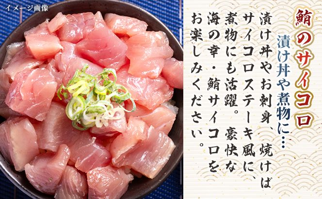 【3回定期便】まぐろ さいころサイズ(150ｇで2～3人前) 150g×8袋 - 定期便 国産 海鮮丼 漬け丼 煮物 鮪 マグロ カット済み 角切り 小分けパック 新鮮 魚介 産地直送 龍馬の海鮮隊 野島水産 高知県 香南市 Wnz-0073
