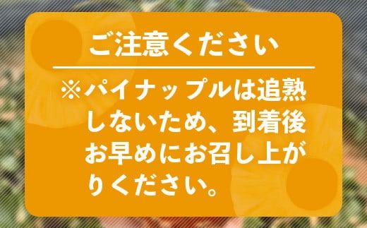 【予約受付】《2026年5月下旬～7月中旬発送》最高糖度18度！？ 完熟の極 石垣島産ジュワリーパイン2個 【 沖縄県 石垣市 石垣島 完熟 パイン パイナップル ジュワリー 予約受付 】TF-16-1_R8
