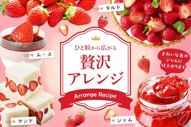 【2027年1月中旬より発送開始】さがほのか4パック【果物 くだもの フルーツ いちご イチゴ 苺 佐賀】(H116134)