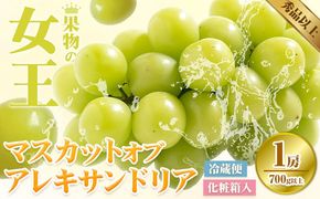 【2025年先行予約】マスカット オブ アレキサンドリア 1房(1房700g以上) 化粧箱入 株式会社山博(中本青果)《2025年7月中旬-7月下旬頃出荷》岡山県 浅口市 ぶどう マスカット 大粒 フルーツ 秀品 旬 果物 贈り物 ギフト 国産 岡山県産 送料無料---124_c248_7c7g_23_22000_700g---