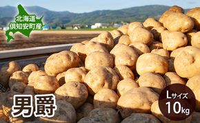 【 2026年 出荷 先行予約 】 北海道 倶知安 産 じゃがいも  男爵  L サイズ 10kg 馬鈴薯 いも 芋 グリーンアースファーム 農家 直送 野菜 産地直送
