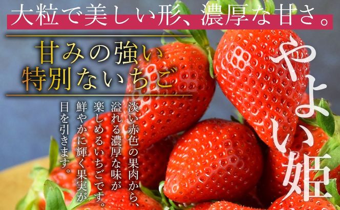 ＜高級いちご「やよい姫」（15粒×1パック 約380g以上）簡易包装＞2025年1月上旬から4月末迄に順次出荷【 簡易包装 ご家庭用 いちご イチゴ 苺 先行予約 甘い 果物 フルーツ 季節物 お祝い お返し サンクール・スマイルファーム 】【b0854_sn】