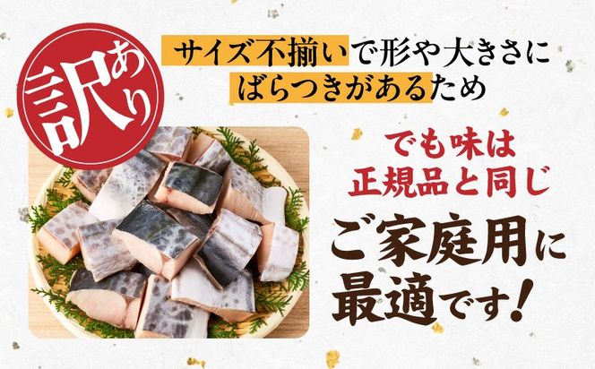 G3707 【お弁当サイズ】さわら 切身 約50g×10切れ【小分け 漁師 手切り 500g 泉州 鰆 切り身 弁当 朝食 時短 訳あり サイズ不揃い 規格外 冷凍食品 スピード発送 スピード発送】