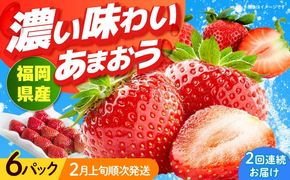 【全2回定期便】福岡産【春】 あまおう 6パック 《築上町》【南国フルーツ株式会社】果物 苺 いちご[ABET027]
