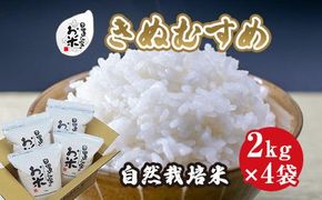 171.日置さん家の自然栽培米「きぬむすめ」精米　2kg×4袋 2025年産 313726_AE009VC01