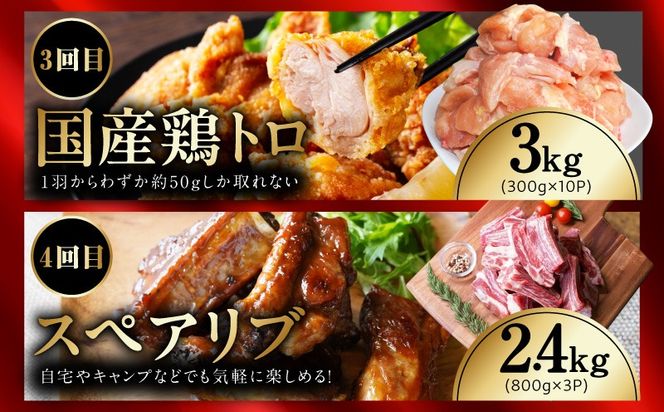 mrzZ106 【定期便】希少部位 定期便6.5万円コース【小分け 希少部位 ヒレ 鶏肉 スペアリブ はらみ ハラミ 牛肉 焼肉 BBQ 簡単調理 味付き】