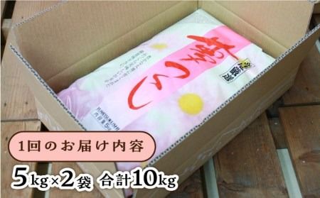 【全6回定期便】糸島産 夢つくし 10kg × 6回 糸島市 / 三島商店 [AIM012] 米 白米