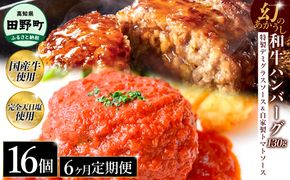 幻のあかうし和牛ハンバーグ 16個入り 6ヶ月定期便 1個130g 特製デミソース トマトソース付き 田野屋青蜂 白鯆 完全天日塩練り込み 肉 お肉 国産牛 おかず おいしい お取り寄せ 冷凍 配送 高知県 田野町